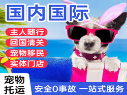 奇台江布拉克机场托运国际宠物托运 【国